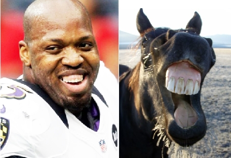 Suggs Horse Face